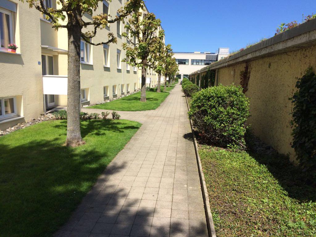 Eingangsweg